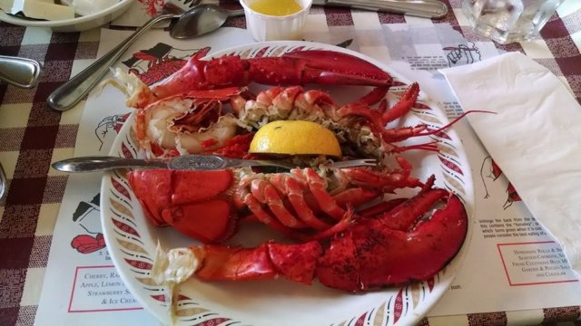 _convention22lobstahdinnerwith250otherredknights.jpg