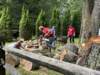 woodcrew1_small.jpg