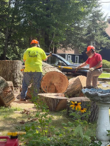 woodcrew2.jpg